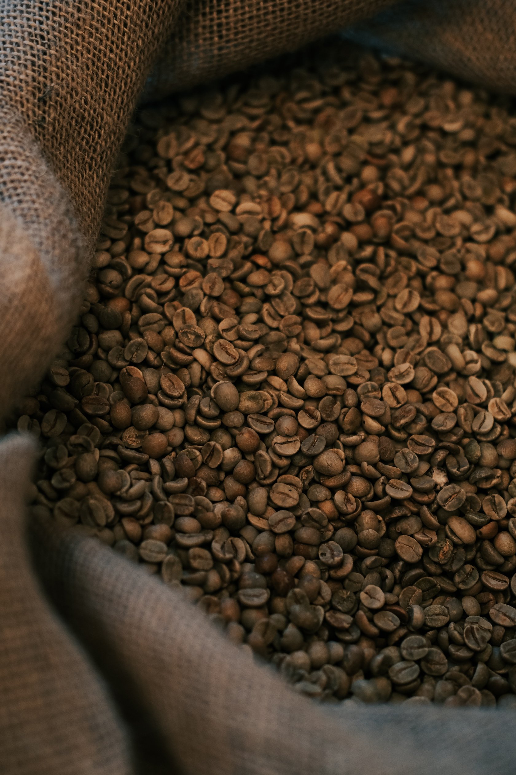 Roasted Coffee Beans in Burlap